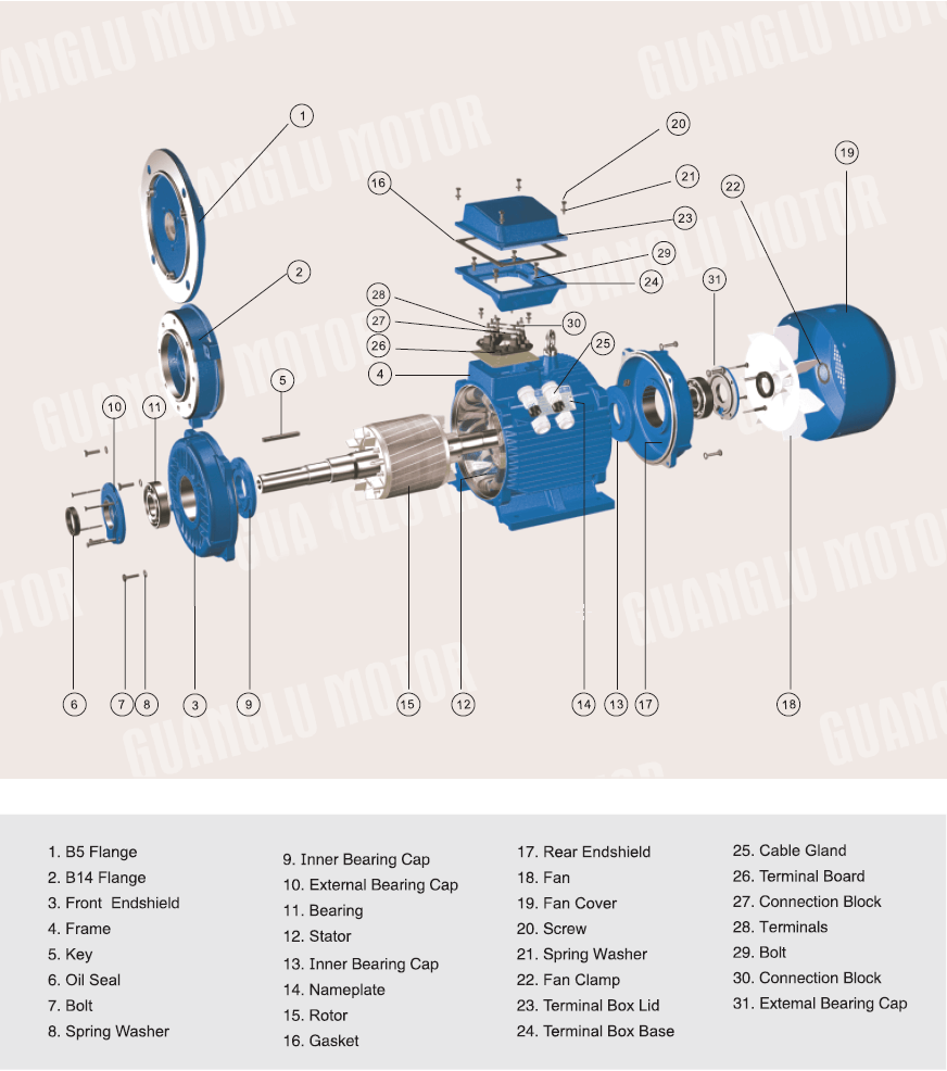 Conon Motor