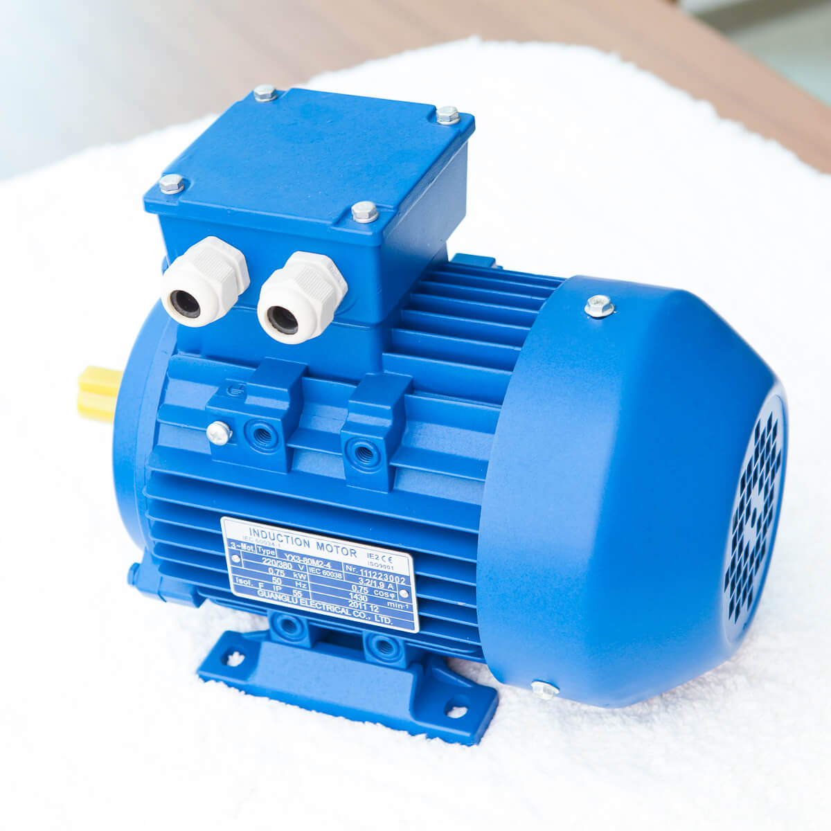 Conon Motor 24mm Electric motor Three phase 415v