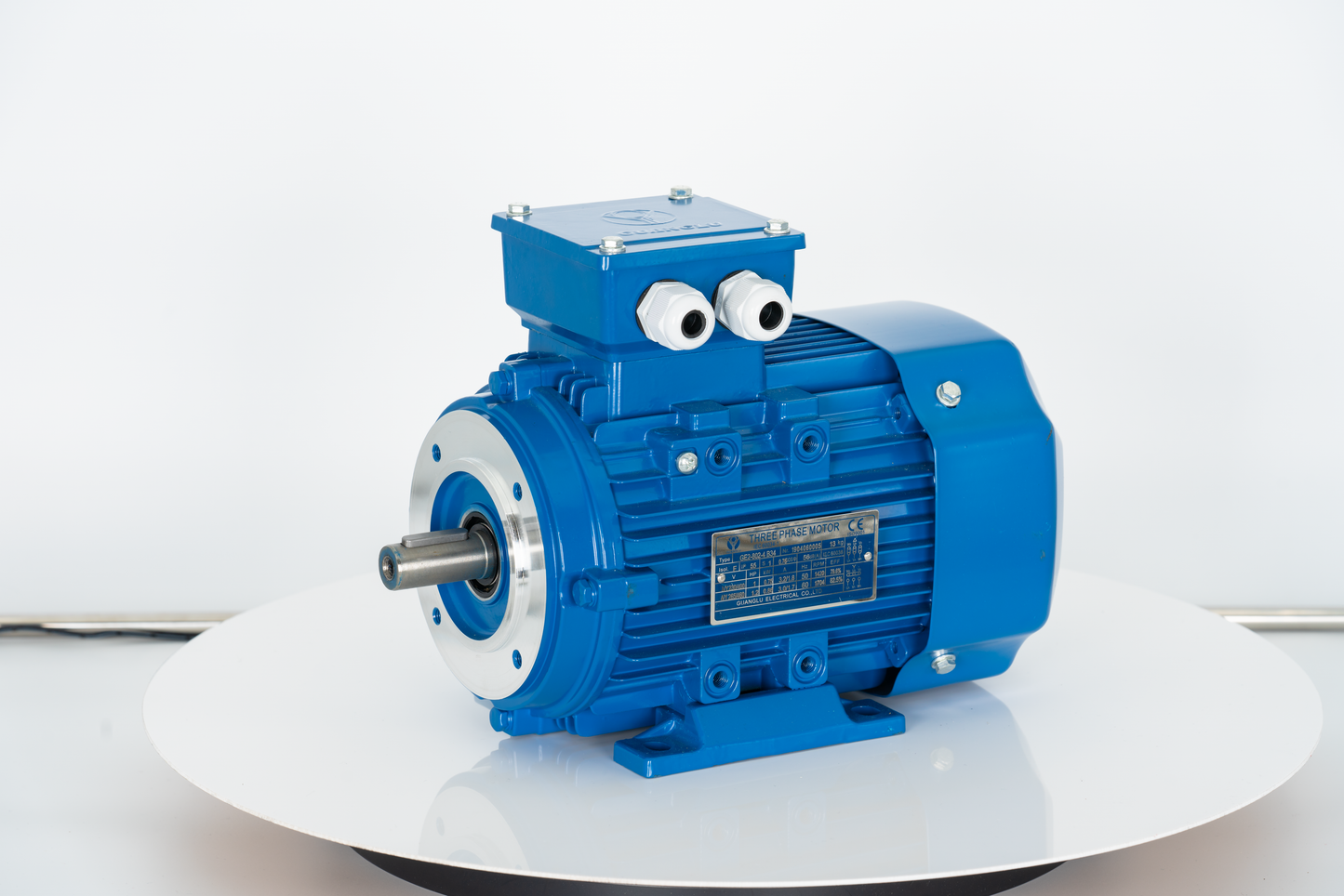2 poles 0.75kw 1HP 2800rpm Three Phase 240/415V shaft 19mm Induction Electric motor