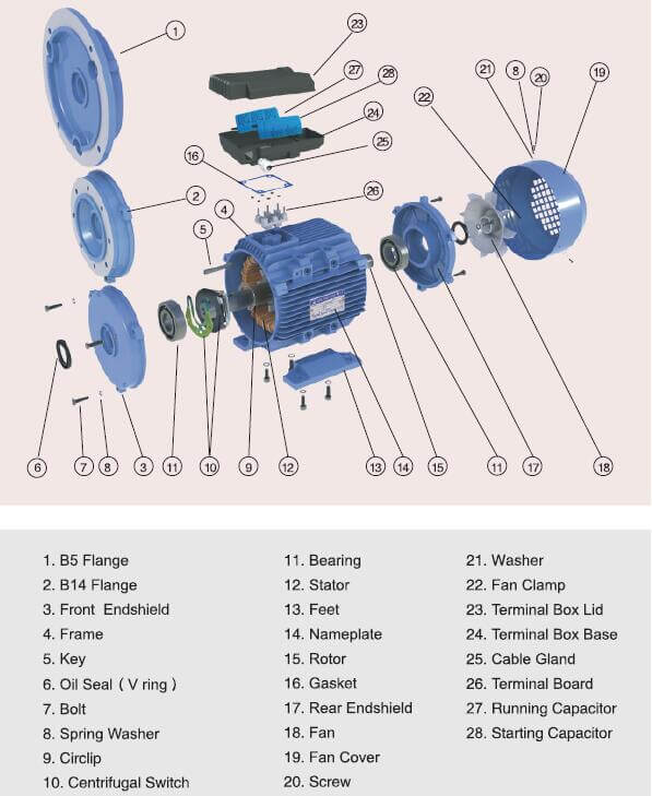 Conon Motor