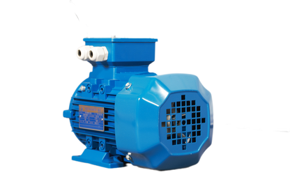 2 poles  0.75kw 1HP 2800rpm Three Phase 240/415V shaft 19mm Induction Electric motor