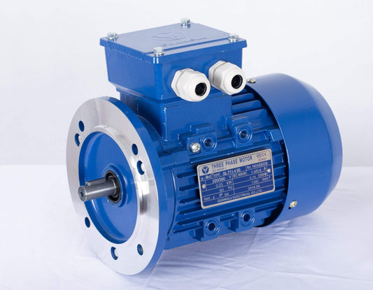 B5 FLANGE 2.2kw/3HP 2800rpm motor Three-phase 415v REVERSIBLE CSCR shaft 24mm