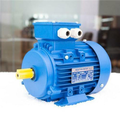 2" x 72" Linisher Single Phase Speed control package 1.5kw Electric motor belt grinder sander